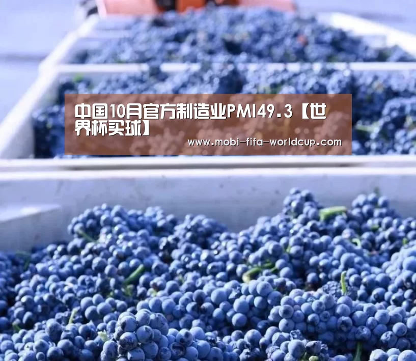 中国10月官方制造业PMI49.3【世界杯买球】